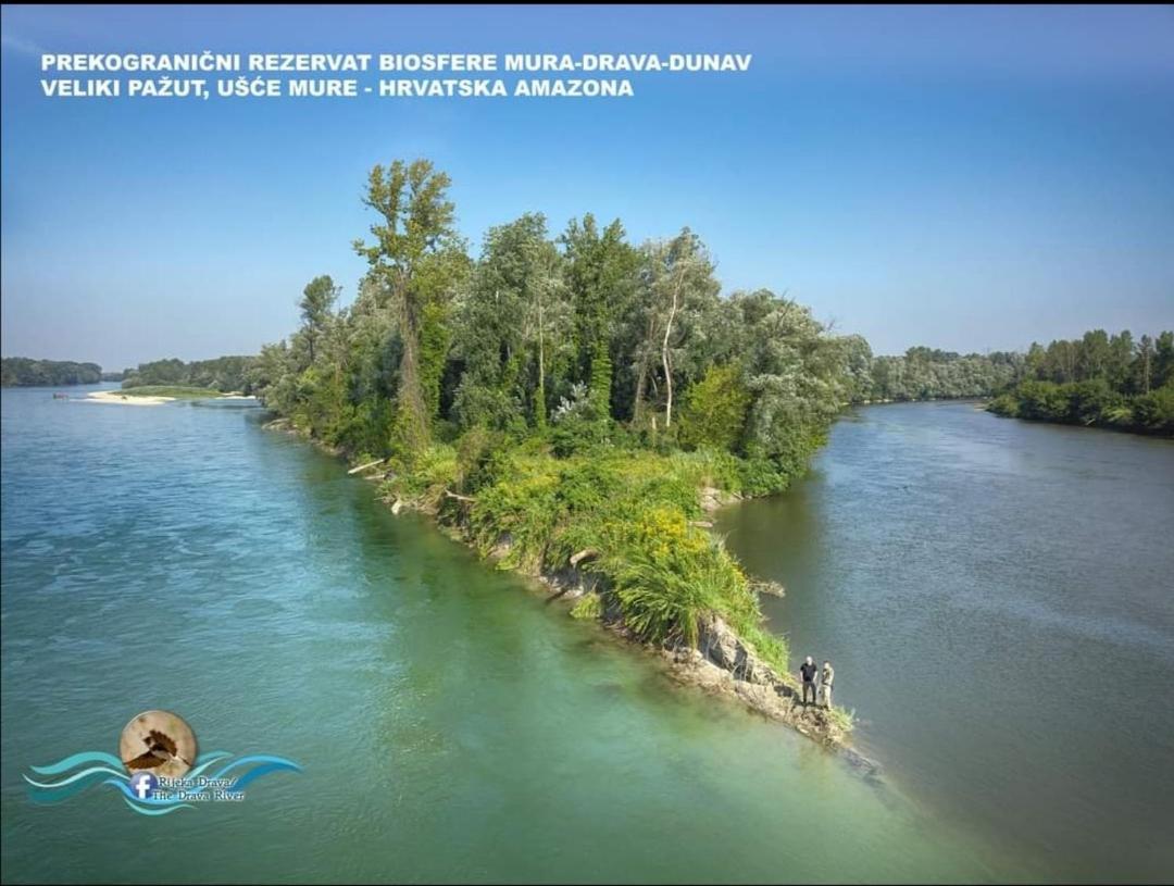 Appartement Drava 1 Donja Dubrava ภายนอก รูปภาพ